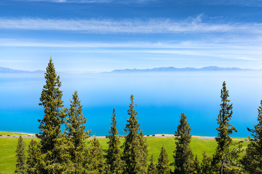 Turquoise Sayram Lake bordered by green meadow and conifer tree in Xinjiang, China, with distant Tien Shan mountains under a blue sky.