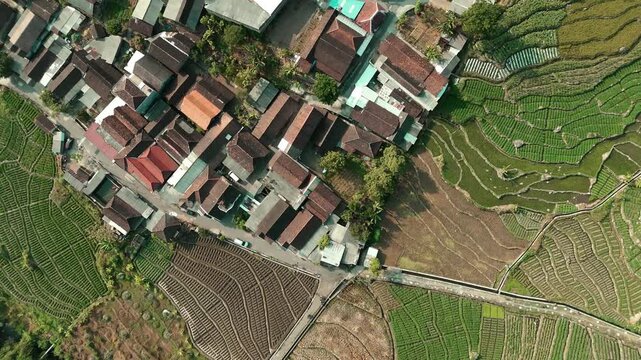 Aerial drone shot of a traditional rural village in Indonesia featuring dense rooftops and surrounding green agricultural fields and rice terraces.