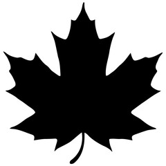 Fototapeta premium Black maple leaf silhouette symbol for autumn and Canada design.