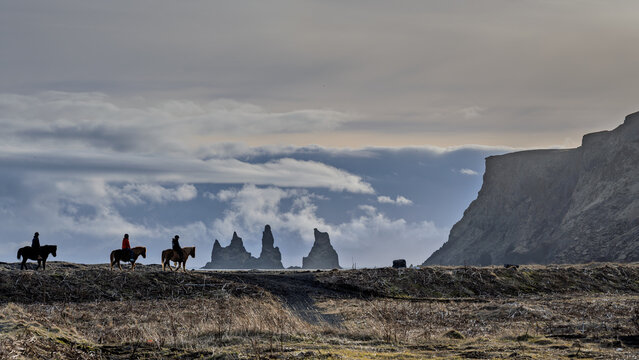 Chevaux sur la plage V&iacute;kurfjara