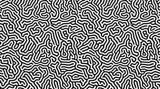 Abstract black and white maze pattern, organic labyrinth texture background design.