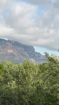 Montserrat Mountain Behind Olive Trees, Vertical Video