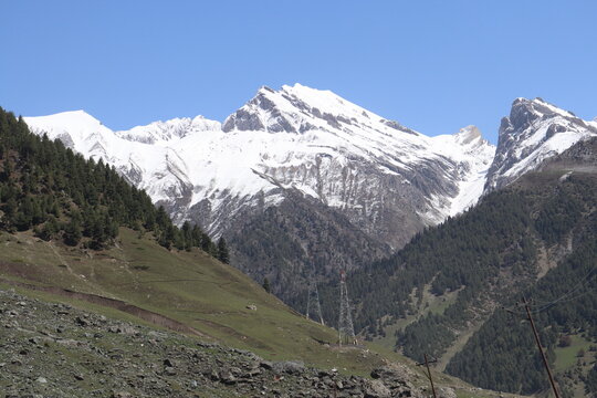 Snow-Capped Himalayan Mountains in Kashmir Valley with Lush Green Alpine Slopes and Forested Landscape