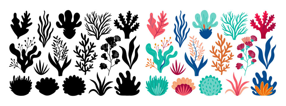 Black and multicolor floral decorative isolated
