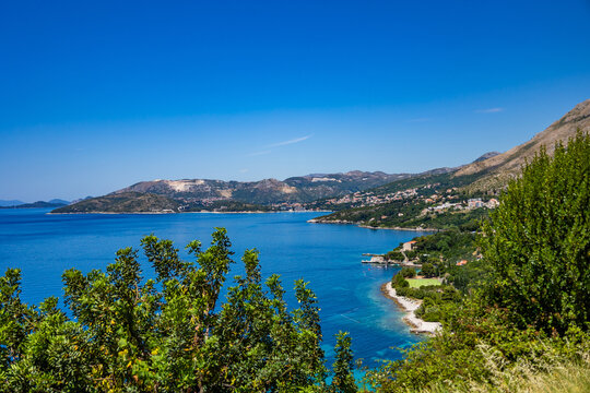Elevated view of a coastal road and houses along the blue sea framed by a tall cypress tree on the right under a clear sky.
