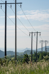 Obraz premium A detailed photograph of a serene rural landscape featuring a series of utility poles and power lines