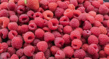Fresh ripe raspberries photographed close up as a natural food background. Detailed texture of juicy berries representing healthy eating and summer harvest. © Olha