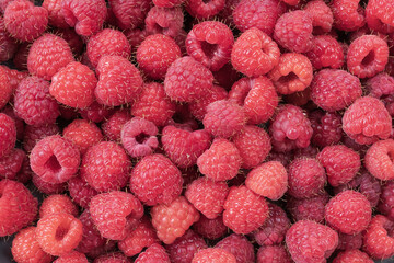 Fresh ripe raspberries photographed close up as a natural food background. Detailed texture of juicy berries representing healthy eating and summer harvest. © Olha