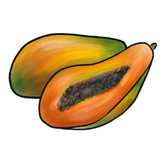 Papaya watercolor with outline. Watercolor tropical fruit.