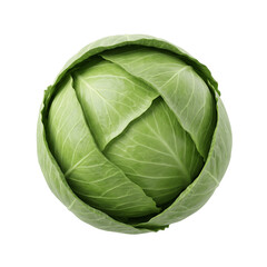 Fototapeta premium Fresh whole green cabbage with vibrant leaves isolated against white with captured bright studio lighting clean showcases single tightly on transparent background