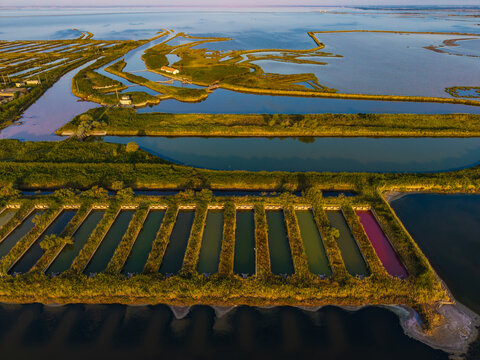 Aerial view of Saline di Comacchio featuring rectangular salt evaporation ponds with varying water colors, surrounded by vegetation and water channels in Comacchio, Emilia-Romagna, Italy.