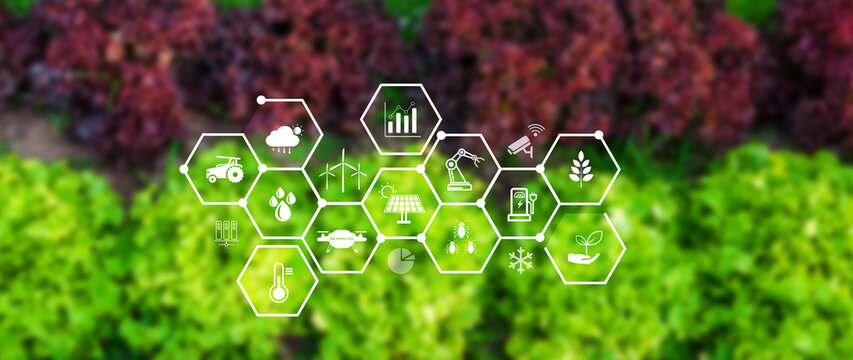Smart agriculture and agritech concept. Hand using touching digital icons interface of modern farming technology, Agribusiness innovation and smart farming management. not ai