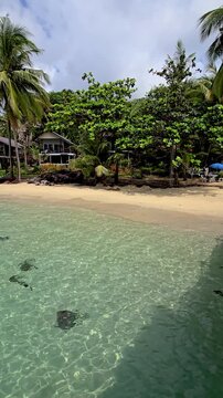 Discover the serene charm of Koh Kood Island in Thailand, featuring a wooden pier leading to stunning beaches and crystal-clear waters surrounded by lush tropical vegetation.