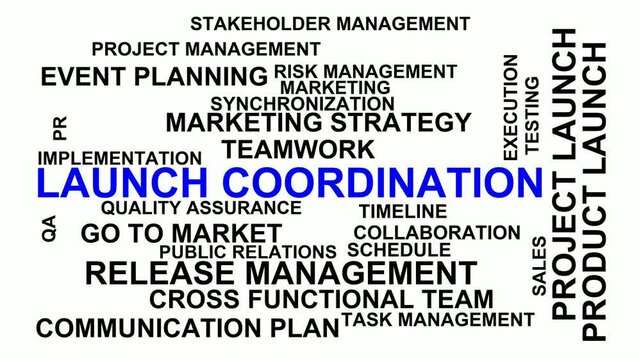 Launch Coordination Word Cloud
