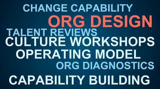 Org Design Word Cloud