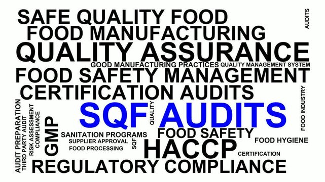 Sqf Audits Word Cloud