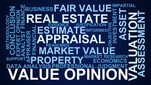 Value Opinion Word Cloud
