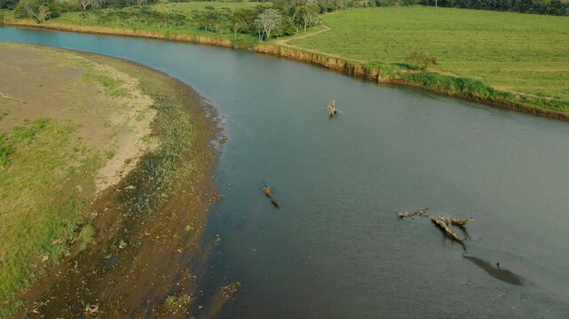 Fallen logs on the edge of Tarcoles River waterway in rural landscape Costa Rica