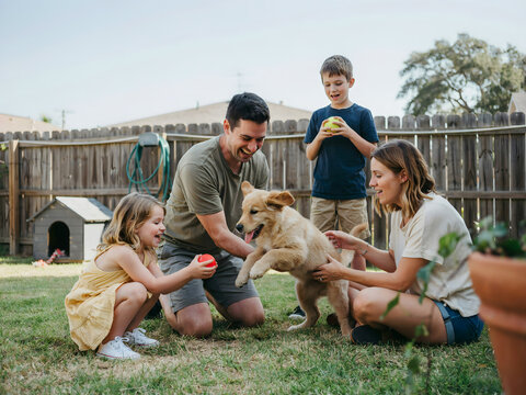 A family with two children and a golden retriever puppy playing in a backyard with a wooden fence and a small dog house on the grass