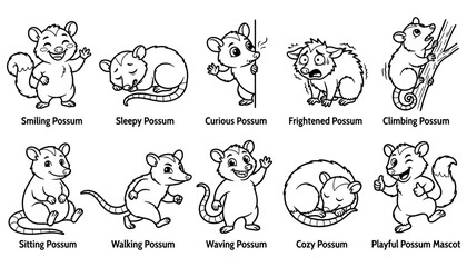 Fototapeta premium Possums Set Showing Various Expressions and Activities. Hand-Drawn Vector Illust