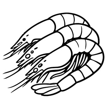 Three fresh prawns vector outline icon isolated on white background