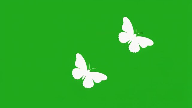 White butterflies flutter across a vibrant green background with a black horizontal band symbolizing spring