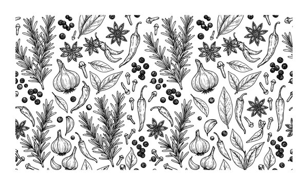Hand drawn seamless pattern of culinary herbs and spices in black and white ink sketch style
