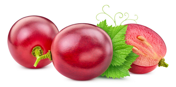 Red grapes with green leaves. Ripe organic grapes isolated on white background with clipping path