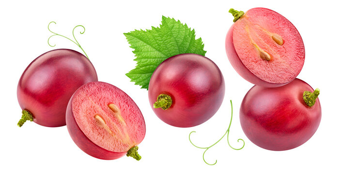 Flying grapes set with leaves isolated on white background. Ripe organic fresh berries and green leaf levitation collection with clipping path