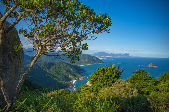 Stunning Rio de Janeiro coastline with tropical trees and blue ocean in Brazil with copy space