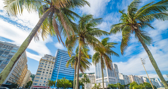 Luxury beachfront hotels and palm trees in Rio de Janeiro Brazil with copy space