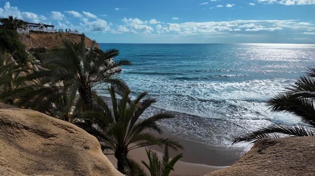 High angle view of Mal Pas beach and palm trees, Benidorm, Spain