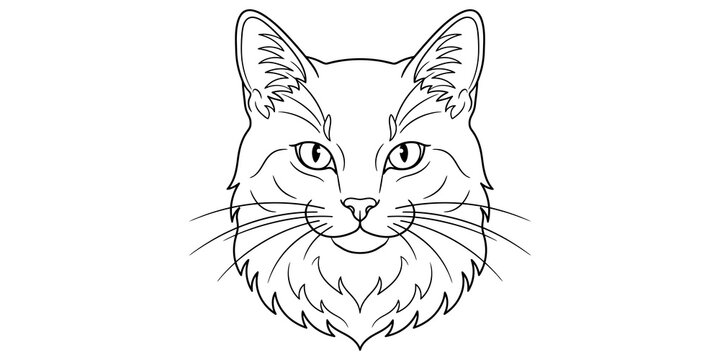 Cat head line art drawing with detailed whiskers and fur outlines, suitable for pet portraits or animal illustrations.