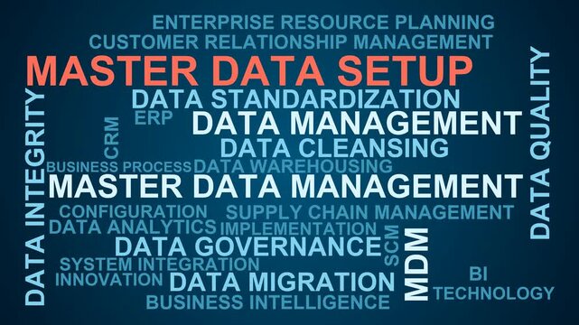 Master Data Setup Word Cloud