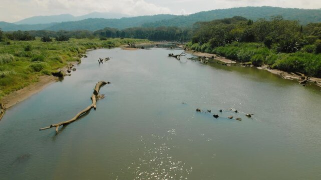 Tarcoles River flows through lush tropical landscape in rural Costa Rica
