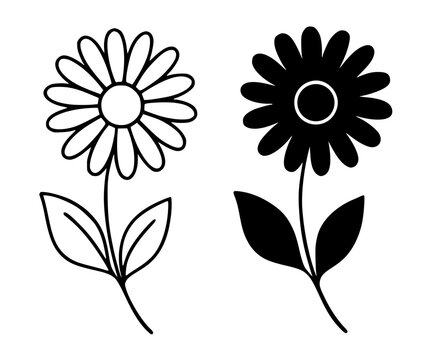 Daisy flower illustration icon in outline and silhouette style, for UI/UX app design