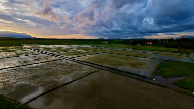 Flooded rice fields reflect a dramatic sunset. Storm clouds stretch across the farming landscape.
