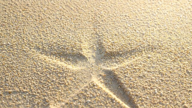 Close-Up Fine Beach Sand Texture in Bright Sunlight with Rich Beige and Light Yellow Grains and Faint Starfish Outline Imprint