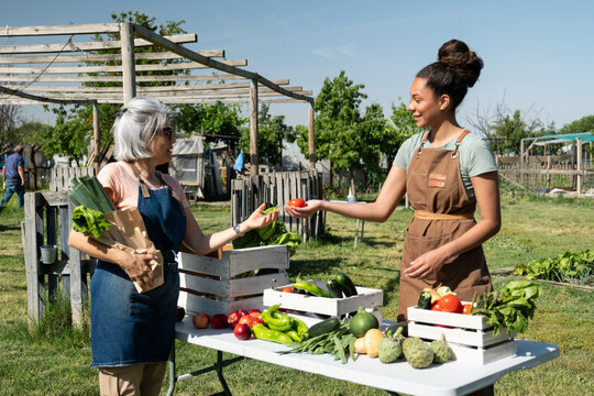 Farmers exchanging homegrown vegetables at an outdoor market stall, promoting sustainable farming