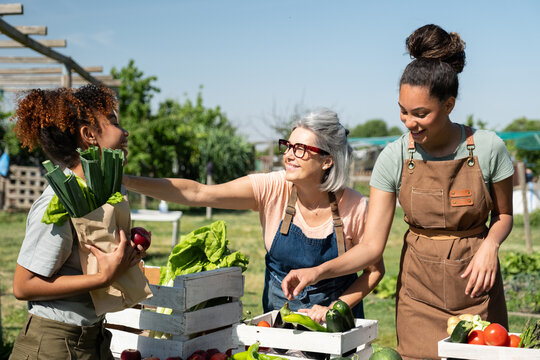 Diverse women are selling organic vegetables at a community garden on a sunny day
