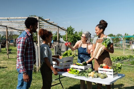 Group of people interacting at an outdoor community garden market with fresh vegetables