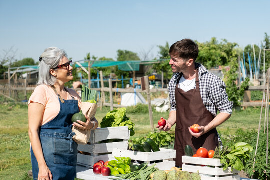 Farmers selling fresh organic vegetables and fruits at a farm market in a rural setting