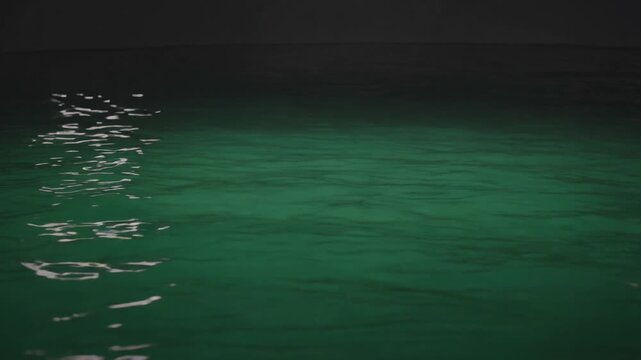 Moonlight path reflecting on calm emerald green ocean water at night, creating a mesmerizing and serene natural background with mysterious gentle waves and ripples