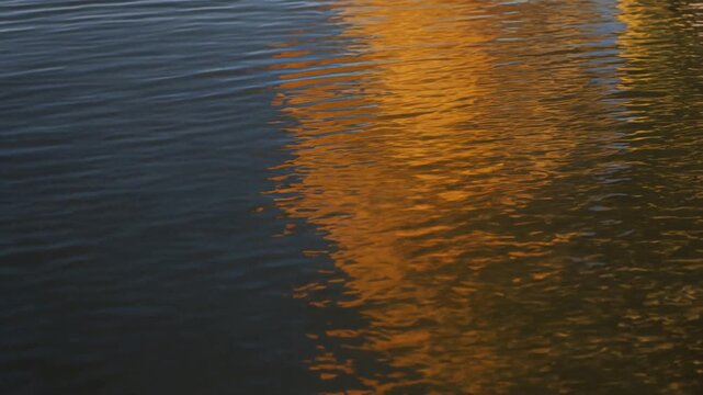 Golden autumn foliage reflecting on a rippling water surface creating an abstract natural background with warm and cool colors contrasting in a serene moving pattern