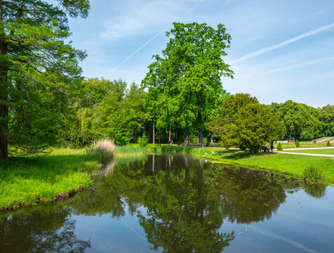 Landschaft mit kleinem Fluss und Schw&auml;nen im Wasser, Potsdam, Brandenburg, Deutschland