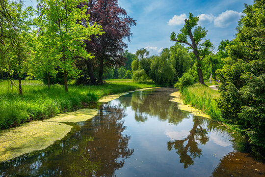 Landschaft mit kleinem Fluss und Schw&auml;nen im Wasser, Potsdam, Brandenburg, Deutschland