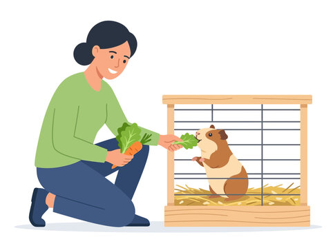 Woman Feeding Small Hamster In Cage.