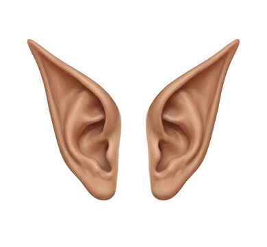 Pair of prosthetic elf ears isolated on transparent background