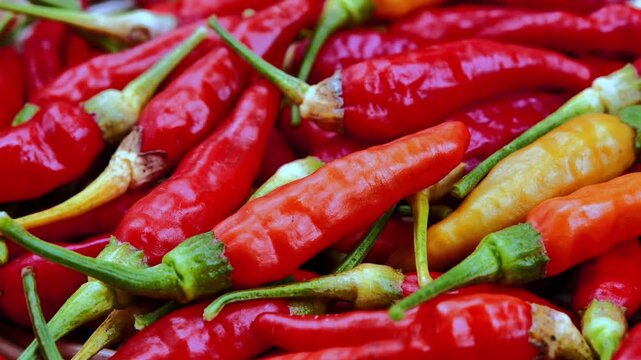 Fresh Red Bird's Eye Chilies in Natural Light