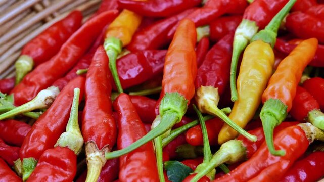 Fresh Red Bird's Eye Chilies in Natural Light